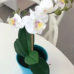 דירה Luxury Beachfront Penthouse אל מדאנו